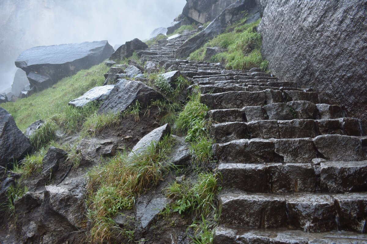 Представь, что каждый день ты делаешь шаг, либо 1 вперед - либо 1 назад. (изображение с unsplash.com) 