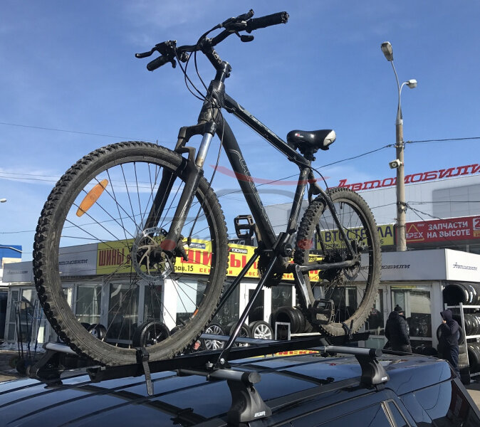 Фото из интернета . 