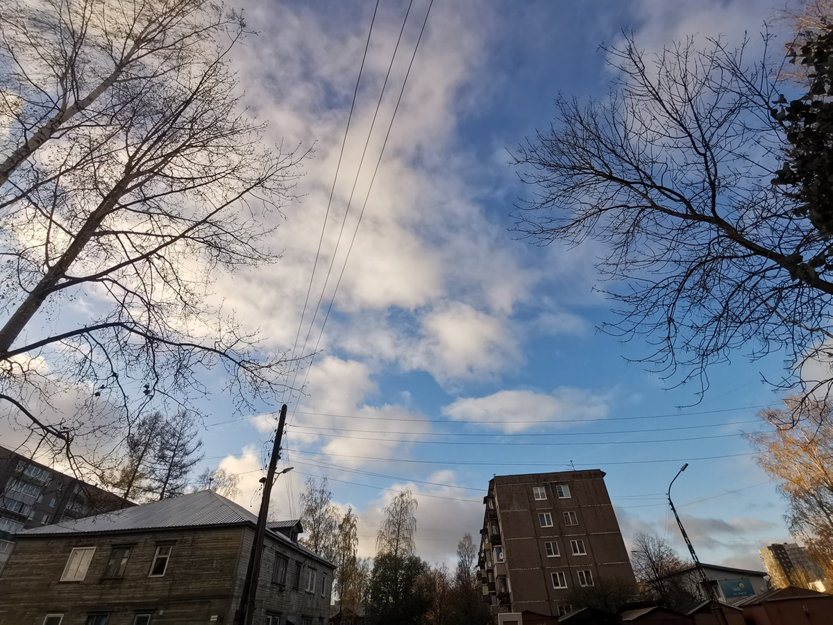 Просто фото из жизни.. Почему бы и нет?))