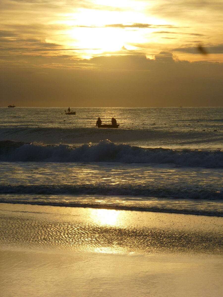 Удачно вышло. Фото сделано автором и принадлежит автору 
