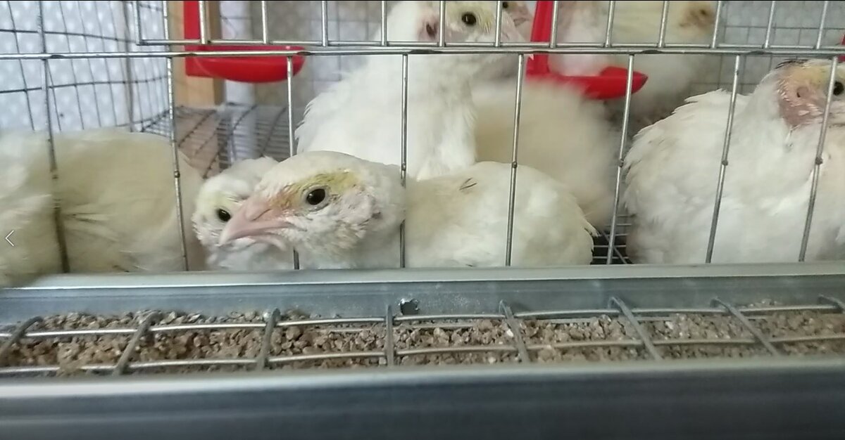 фото из личного архива