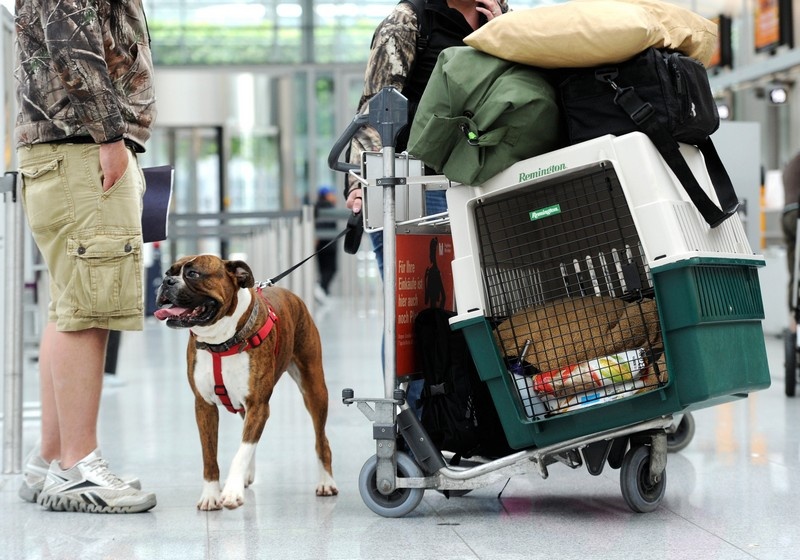 Взято из свободного доступа сети.