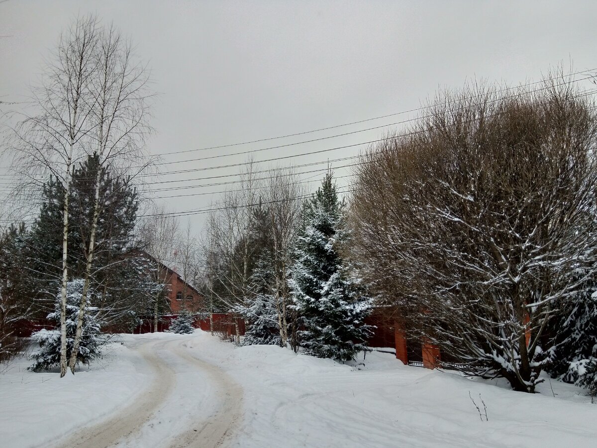 Фото автора. Зима...