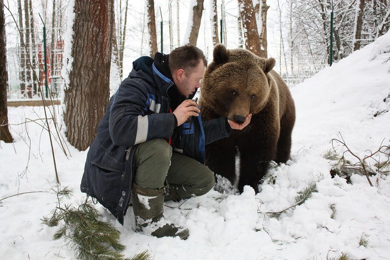 Тексты песен