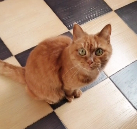 Фото автора. Ну, тут по мордахе все ясно, да? :)