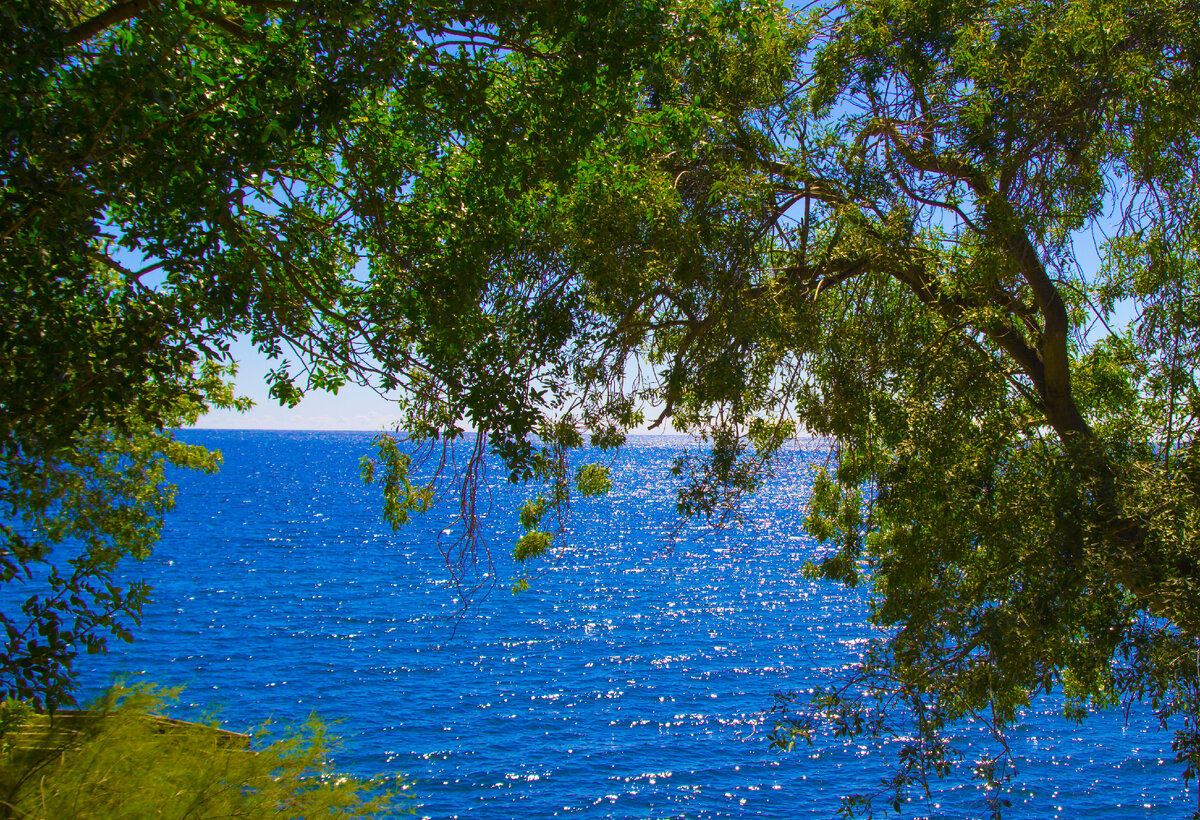 вид из-за деревьев на райский пейзаж