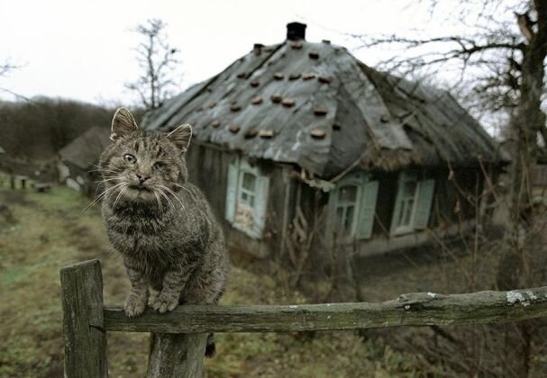 Русская деревня