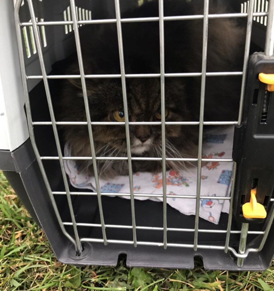 Приехал в Москву