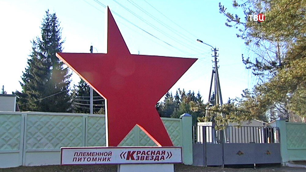 Автор: https://www.tvc.ru/news/show/id/83734/