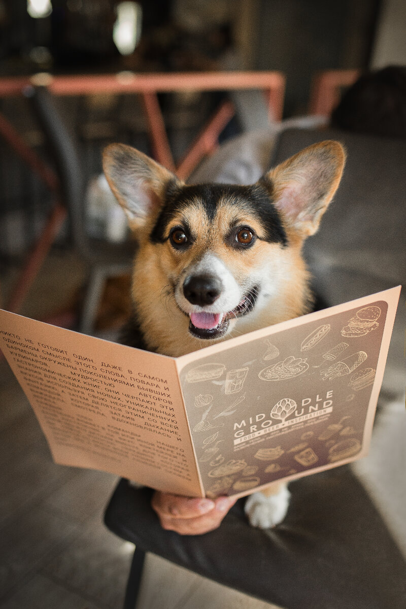 Фото из личного архива. Фотограф @visdeanimalis