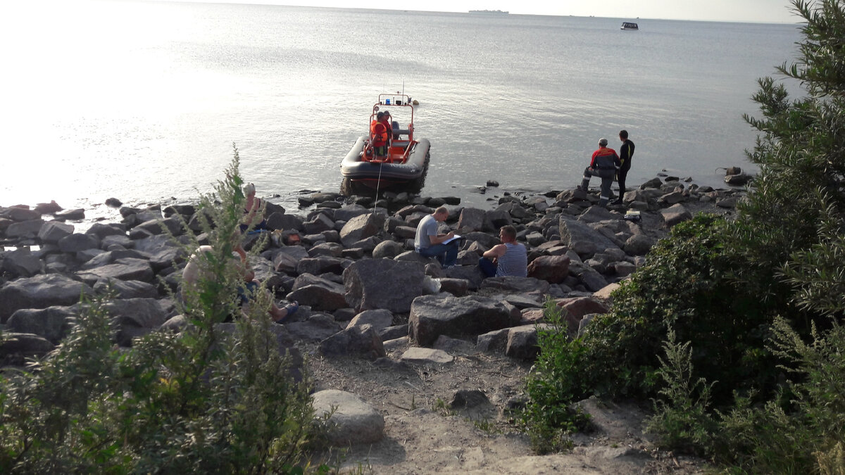 Источник Яндекс.Картинки