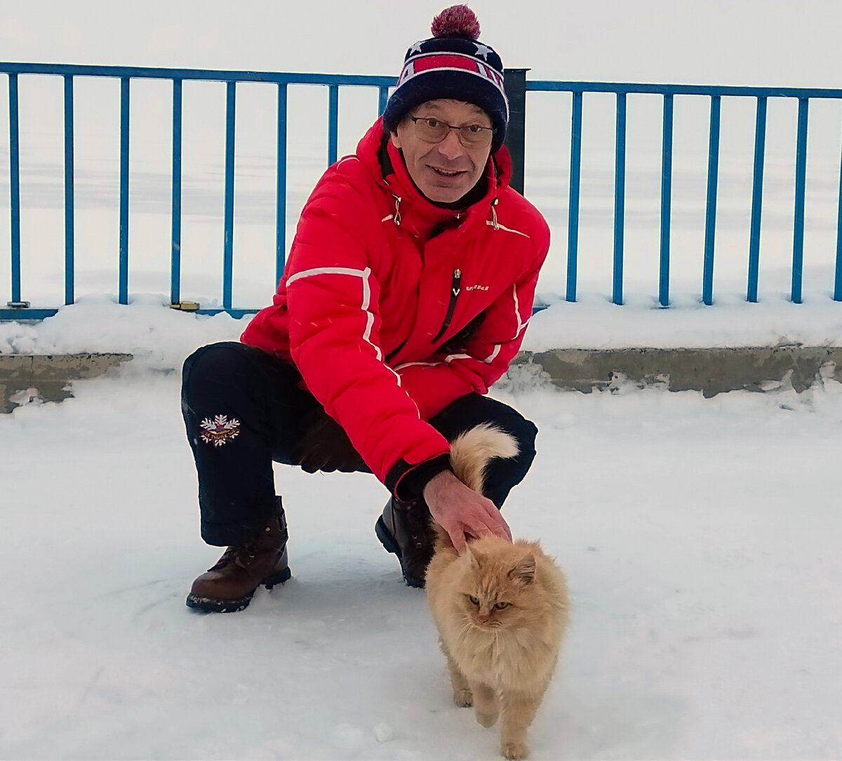 Вот такой тигр живет на Волге