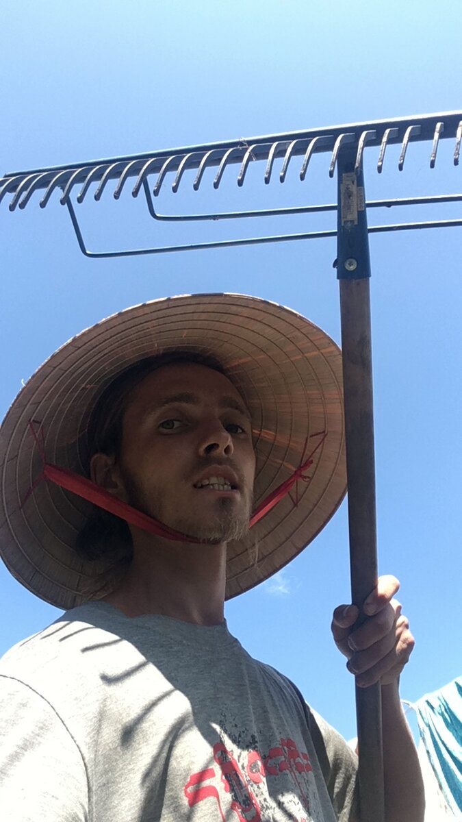 Любимые грабли.