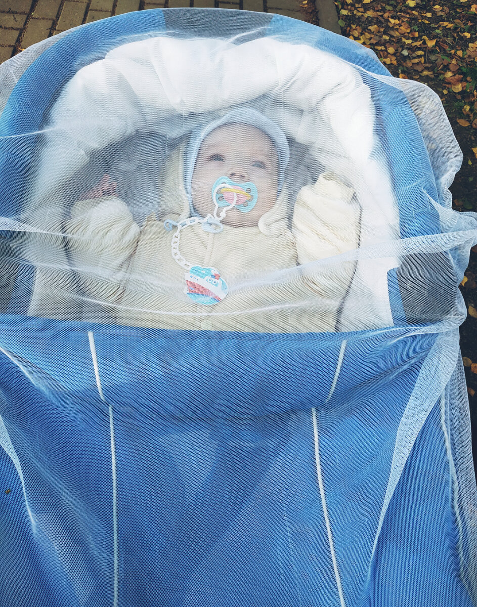 Ярик смотрит на мир из коляски