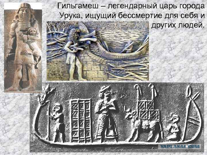 гильгамеш шумерский царь. гильгамеш царь города. гильгамеш ассирия. гильгамеш шумерский царь и энкиду. гильгамеш царь города.