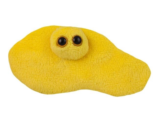Моча

Фото: giantmicrobes.com