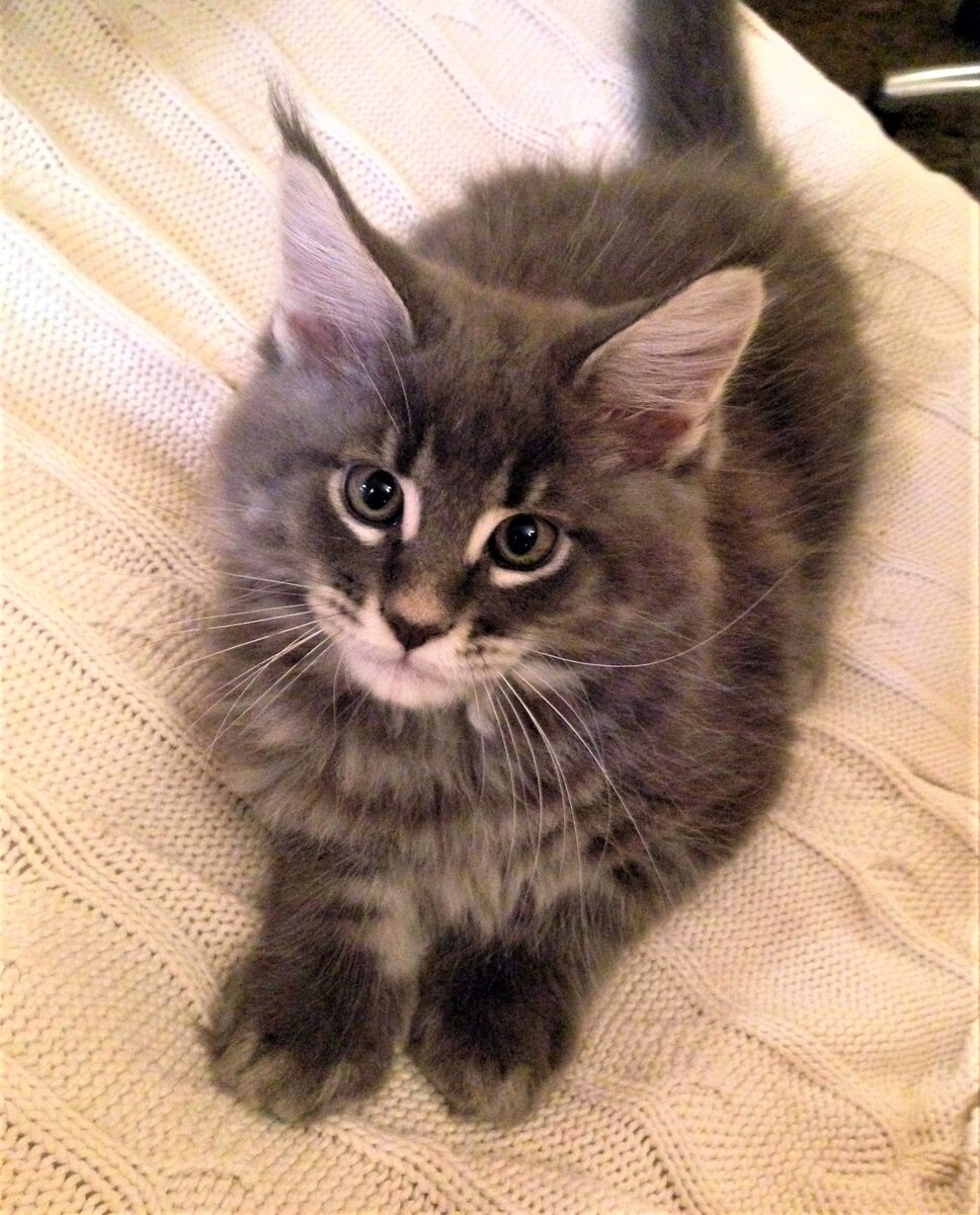 Фото из личного архива. Берька