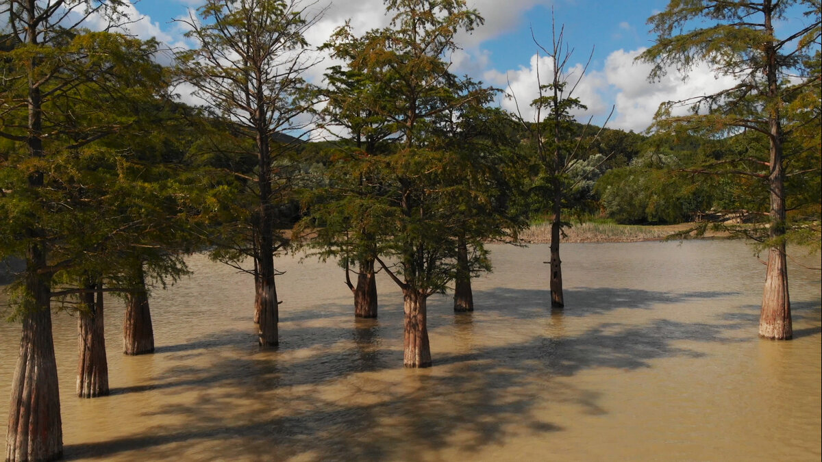 Кипарисовое озеро