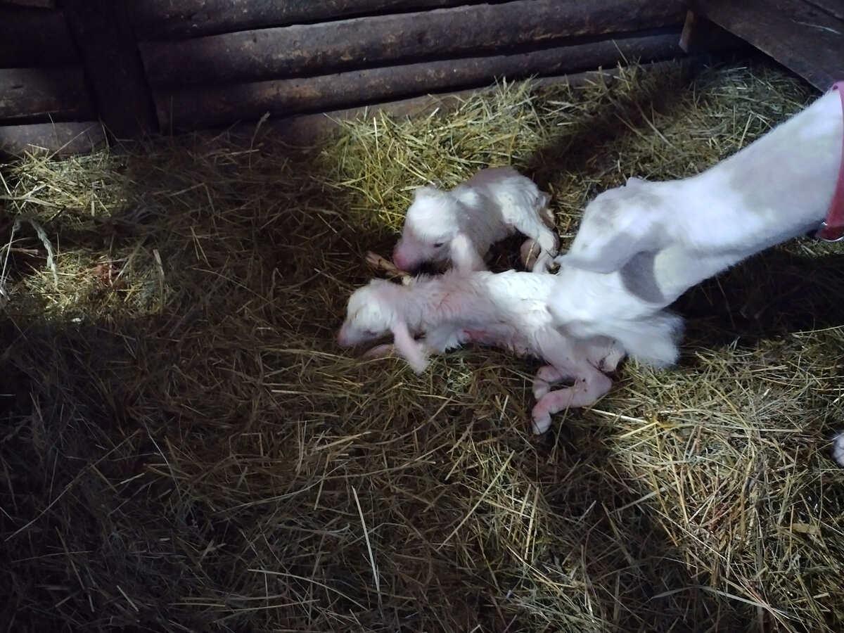 Второй спокойный - будет Гек. Время 9-46