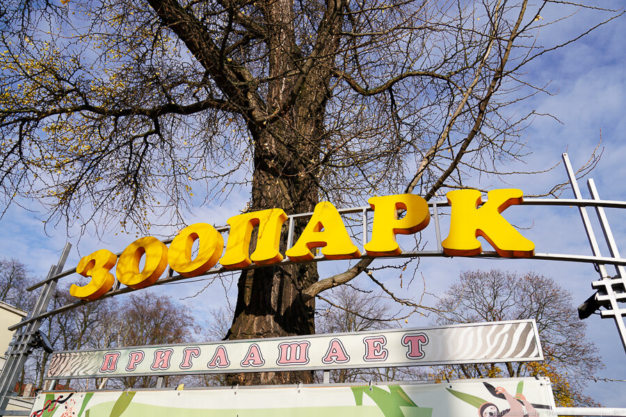 Фото: Виталий Невар / Новый Калининград