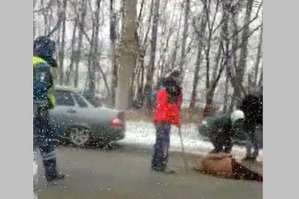     Разыскиваются очевидцы ДТП, в котором грузовик сбил женщину на окраине Рязани, идущую в мечеть