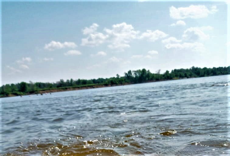                                     На реке. Фото автора канала.