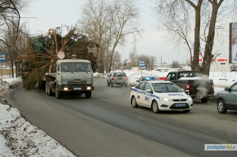 Картинка из официальных городских новостей