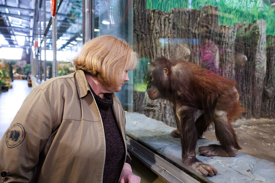 Светлана Ярова и орангутан Оле. Фото: Виталий Невар / Новый Калининград