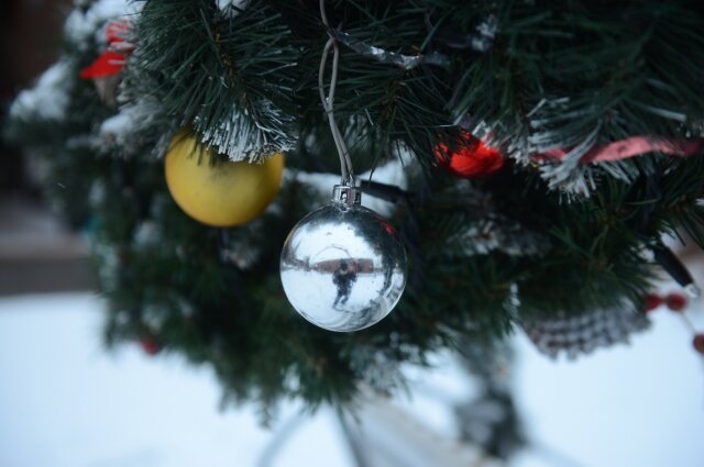    Мы сами готовим себя к праздникам. Фото:  АиФ/ Романов Кирилл