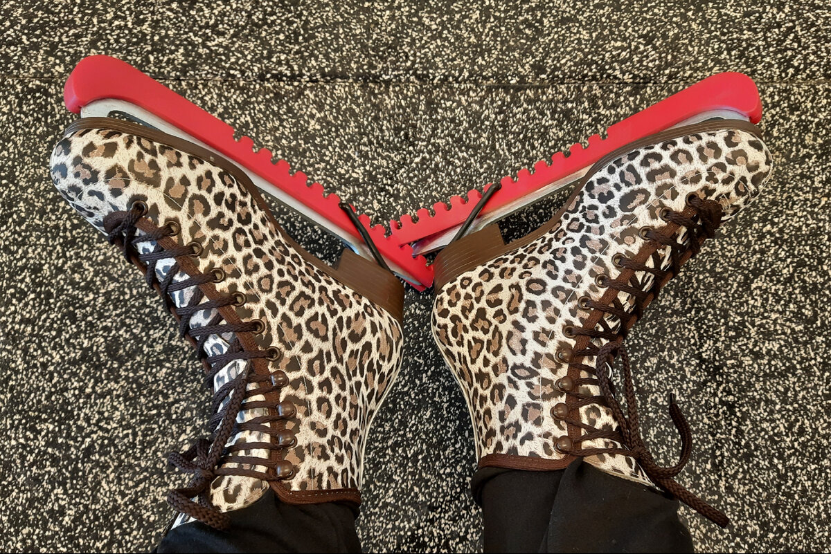 Коньки мои, "на стиле")