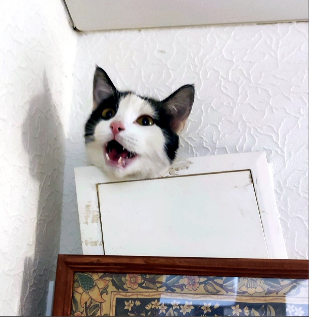 Такое зрелище редко увидишь. А увидишь, то не забудешь никогда