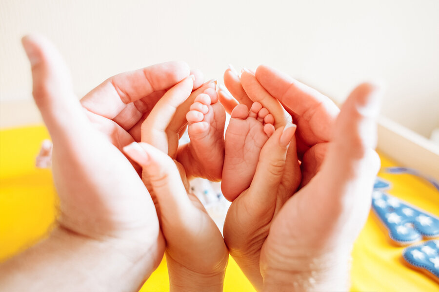 Фото. Автор: Karasiki / Shutterstock.com.