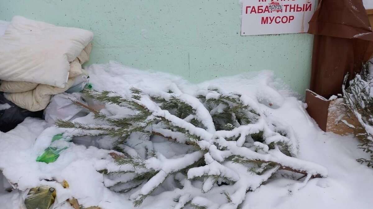     Ненужную елку нельзя выбрасывать как бытовой мусор. «Магнит» рассказал, как это сделать правильно и почему это важно.