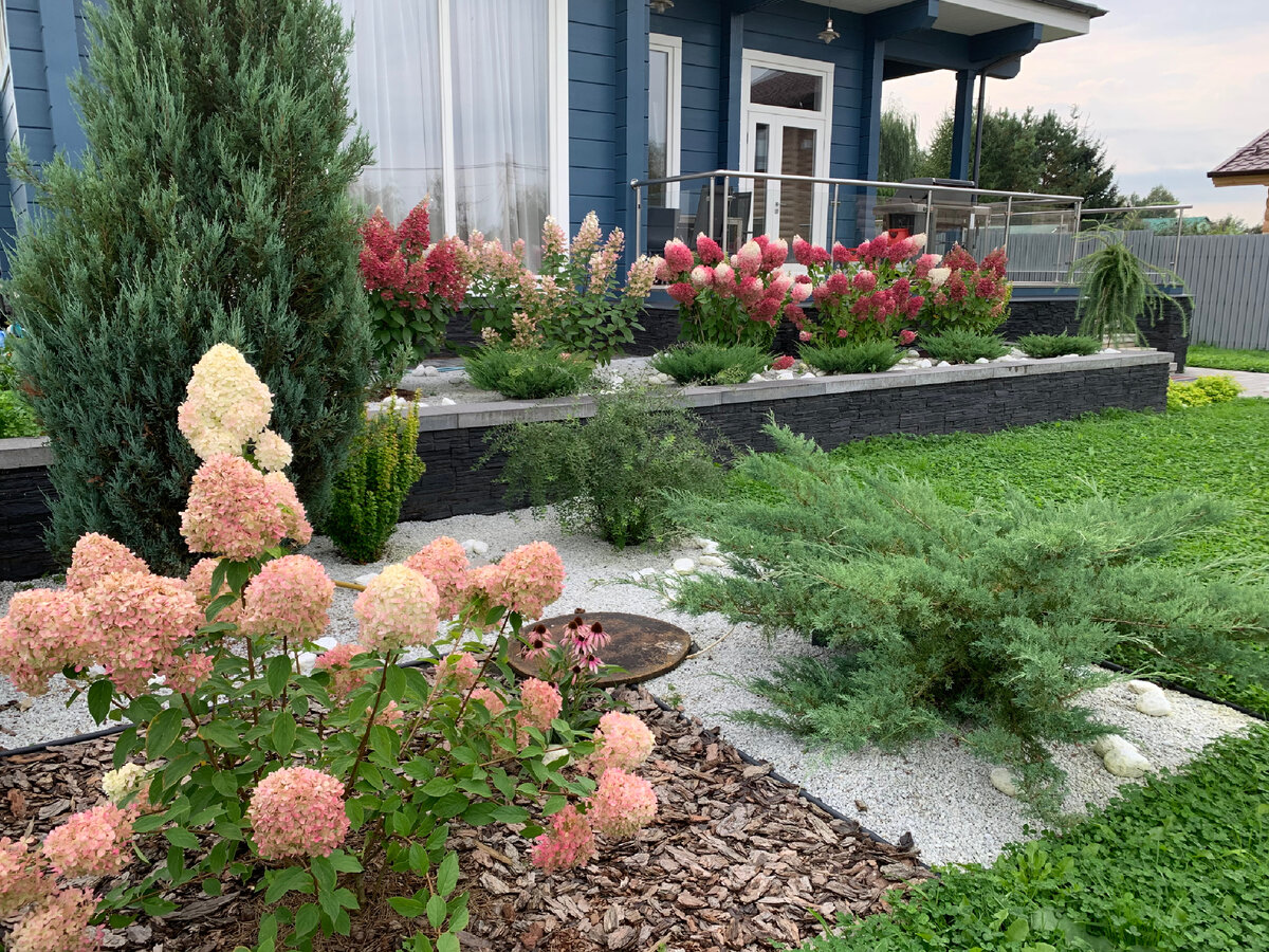 Сажаю камни или отсыпка мраморной крошкой. Фото из моего сада.