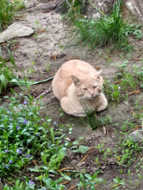 фото из личного архива