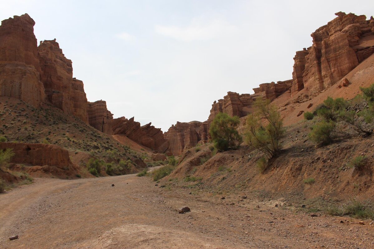                                                                      Каньон Чарын