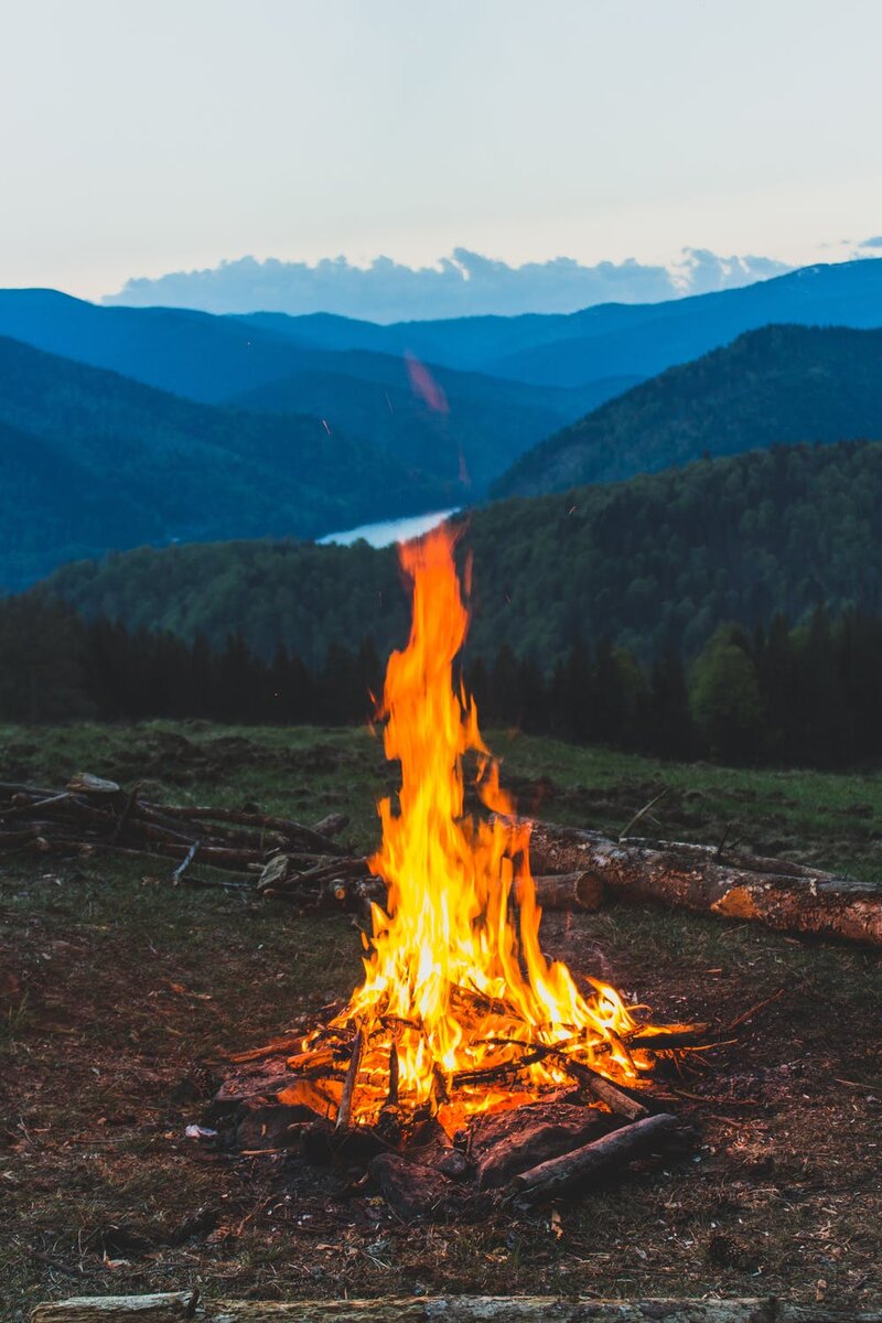 Фото автора Vlad Bagacian : Pexels 