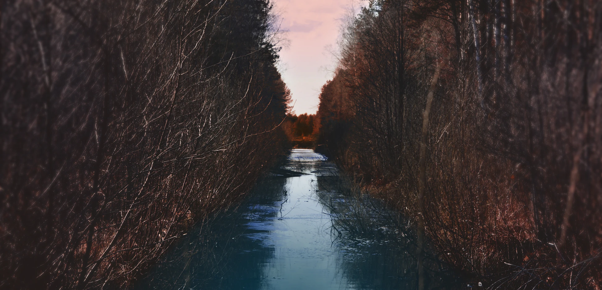 https://unsplash.com/photos/0AwbzfRIg_g