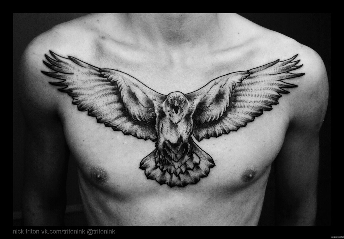 Тату птицы – 41 фото | Красивые татуировки с изображением птиц