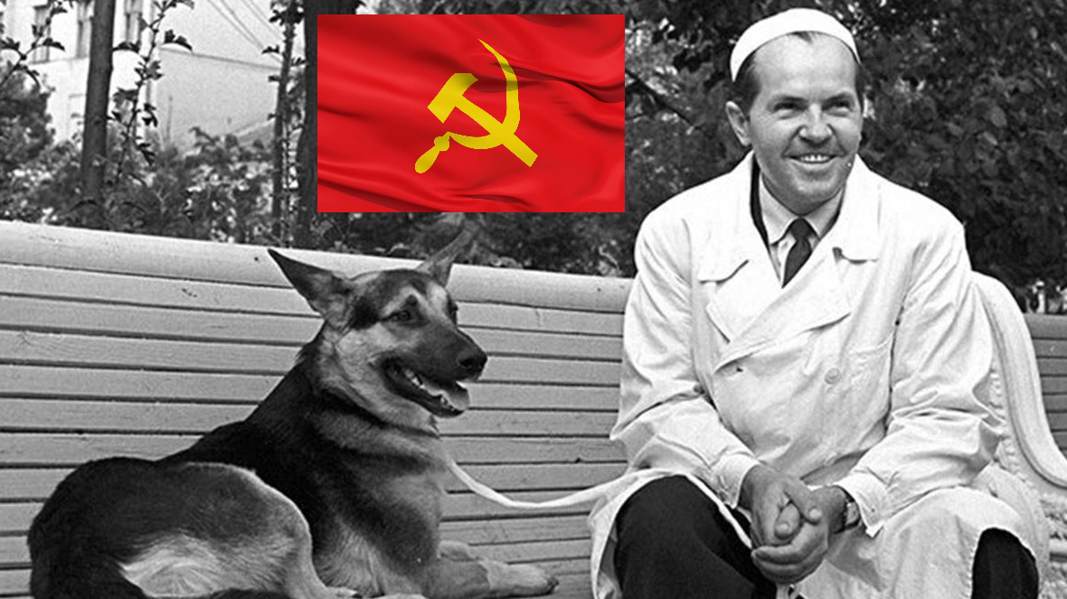 Демихов. Демих изобретения. Демихов модель органа. В п демихов. Демихов трансплантолог.