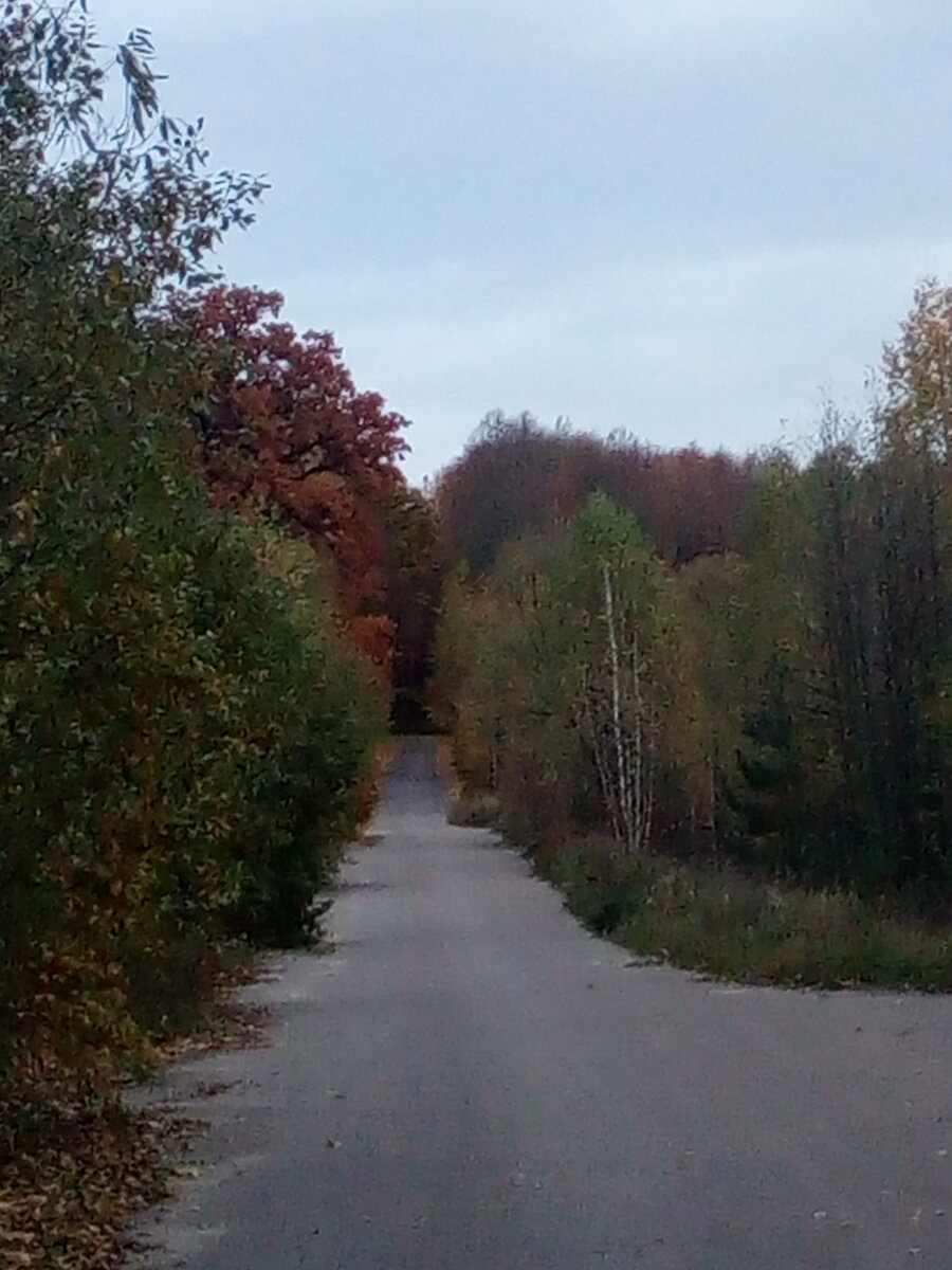 Дорога в осень....Это деревня, где я работала сразу после института и по ней я ходила домой.