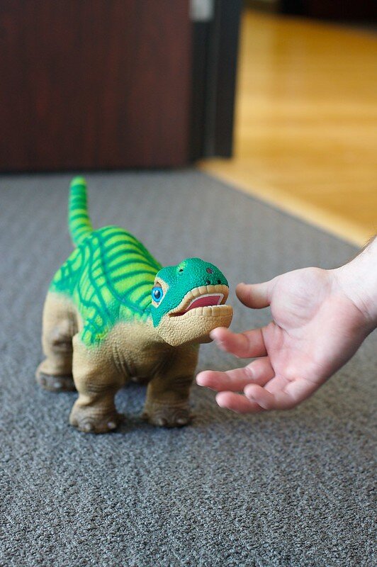 автор Travis Isaacs / взято с flickr.com