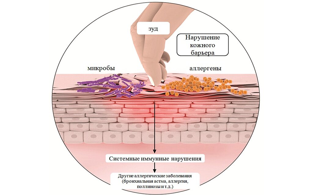 Источник: Яндекс.Картинки.