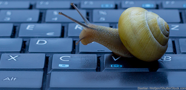 Слииишком мееееедленно. Источник: shutterstock.com