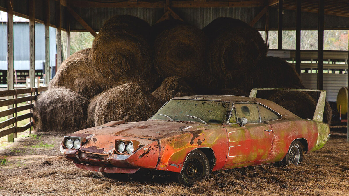 в таком состоянии была найдена эта малышка 😢
