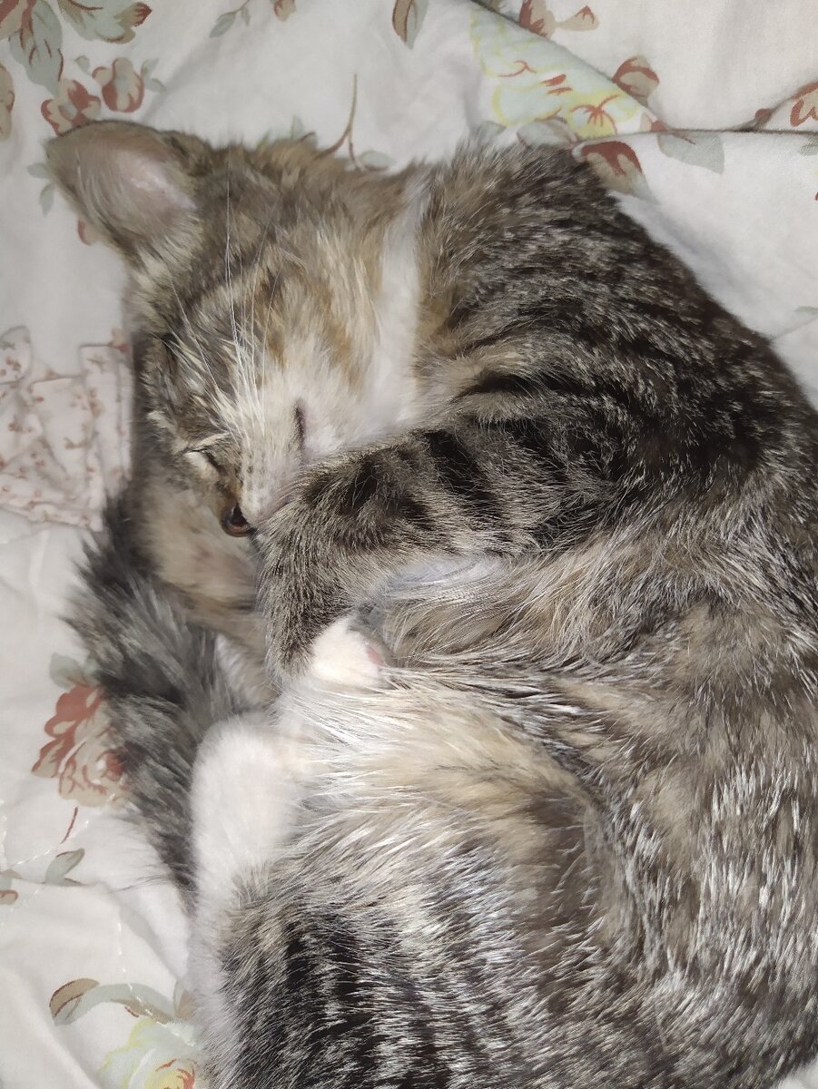 Личное фото автора канала