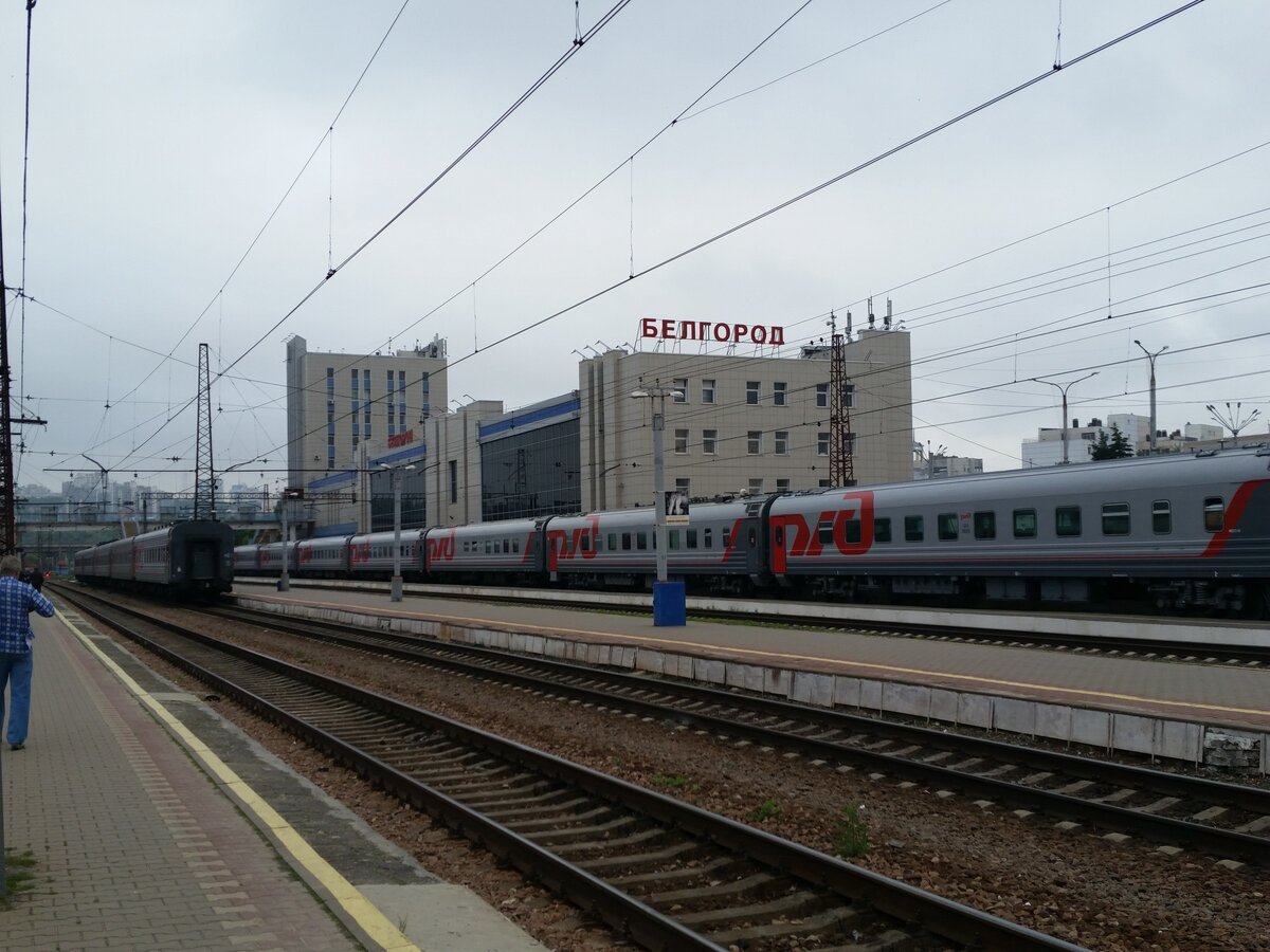 Поезд 100 белгород москва
