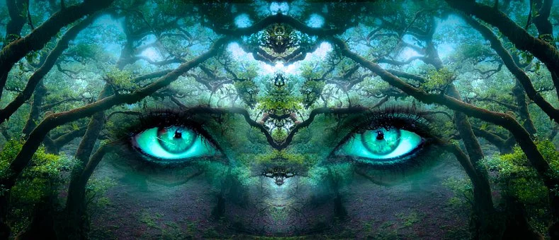 https://pixabay.com/photos/fantasy-eyes-forest-aesthetic-face-2824304/