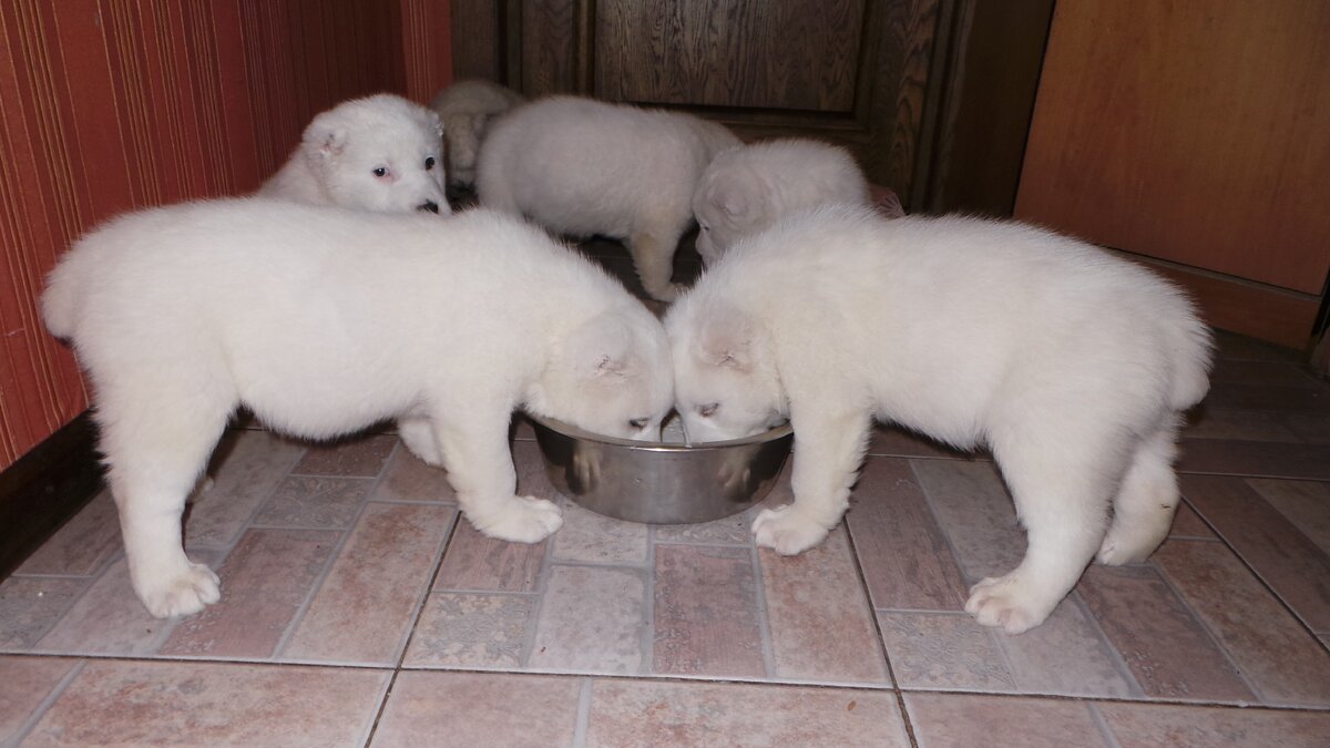 Обед по расписанию...