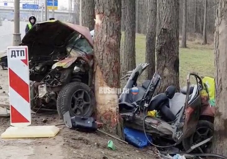 ДТП произошло 21 декабря днем в поселении Сосенское на 23 километре Калужского шоссе. легковой автомобиль наехал на дорожное ограждение. Автомобиль вылетел с дороги, снёс ограждение и врезался в дерево. От удара иномарку разорвало на части. Один человек погиб на месте. Другого пострадавшего в тяжелом состоянии на вертолете доставили в больницу.
